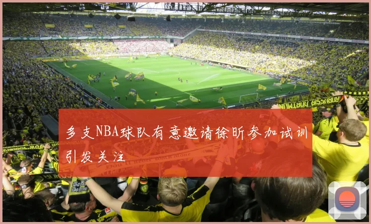 多支NBA球队有意邀请徐昕参加试训引发关注